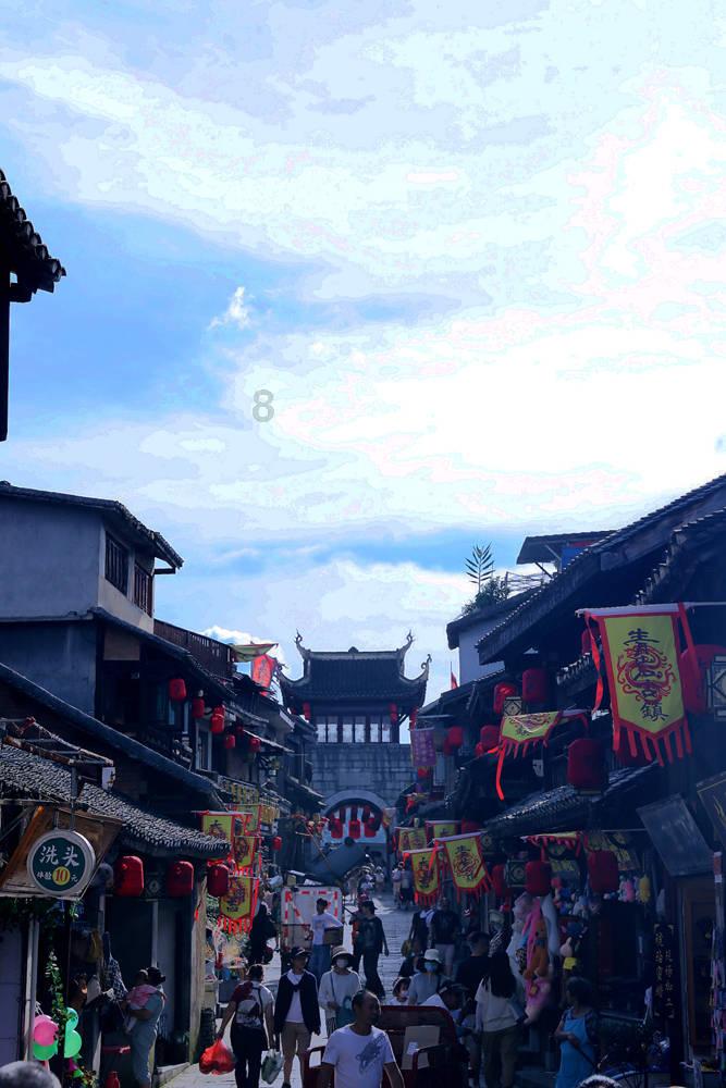 金刚鹦鹉逃生